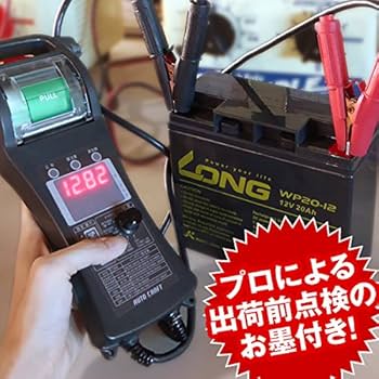 その他 LONG WP50-12 Amazon | LONG 12V 50Ah 高性能 シールドバッテリー WP50-12